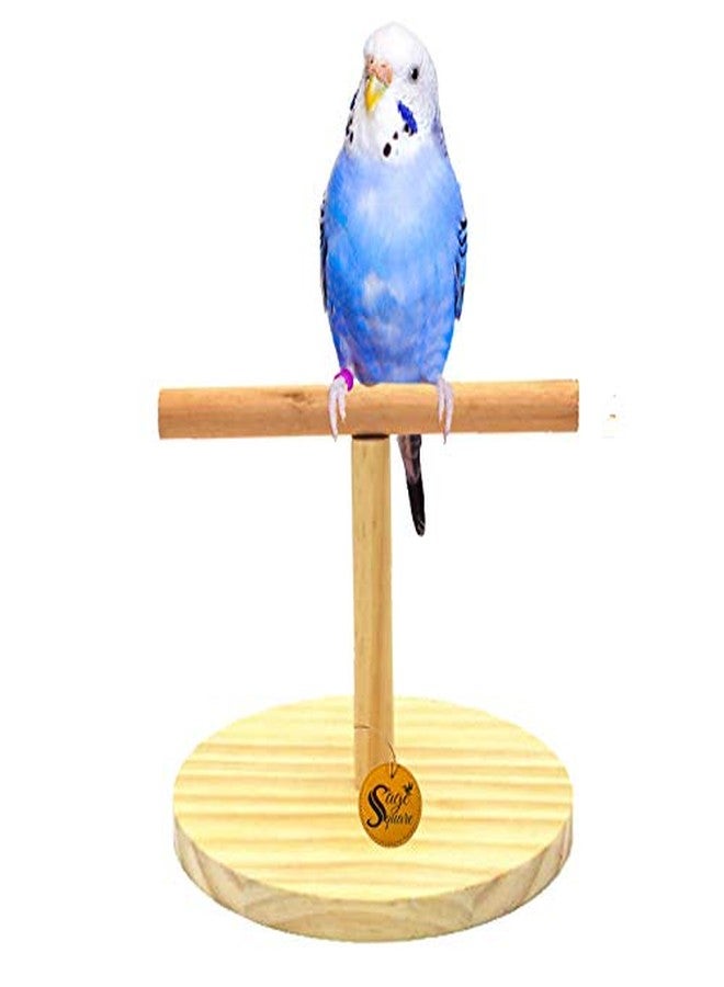 Sage Square Wood Sand Table Top Stand with Bird Playful Wood Sand Table Top Stand, Cage Accessory Perch Bird Toy for Budgies, Cockatiel, Parrot - The Ultimate Perching and Training Solution. - Image 1